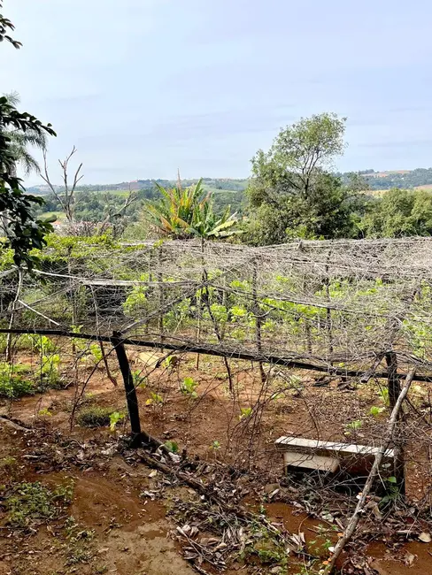 Foto 13 de Chácara à venda em Piedade - SP