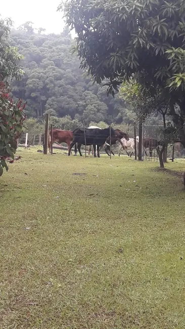 Foto 3 de Chácara com 2 quartos à venda, 119m2 em Centro, Angatuba - SP