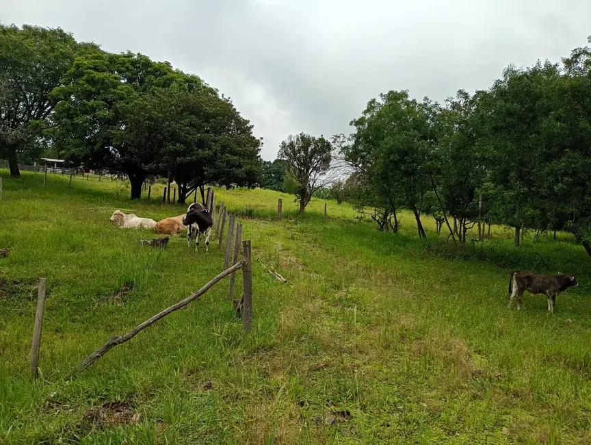 Foto 3 de Chácara com 4 quartos à venda, 52000m2 em Capela Do Alto - SP