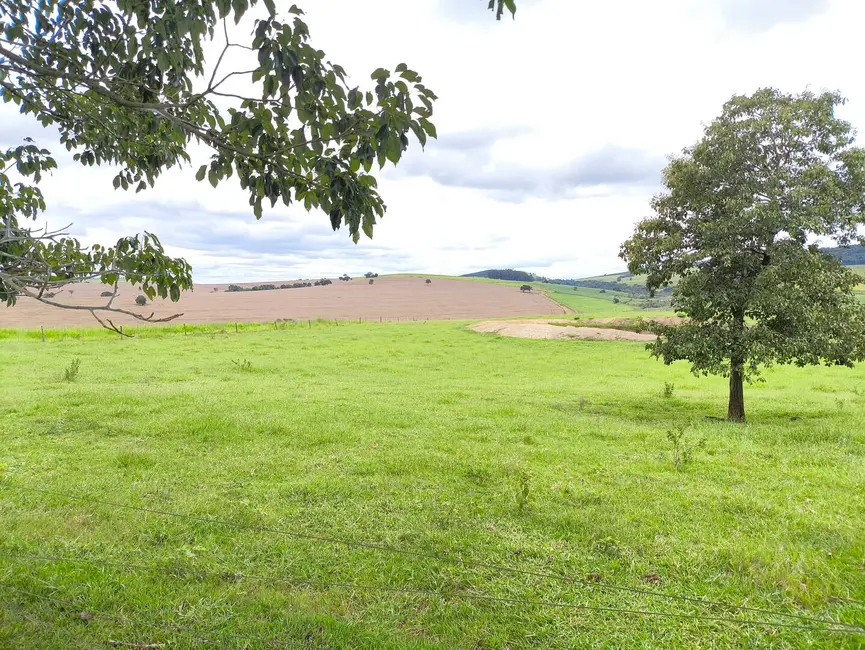 Chácara com 5 quartos à venda, 15460000m2 em Taquarituba - SP - imagem 8 Foto 8 de Chácara com 5 quartos à venda, 15460000m2 em Taquarituba - SP