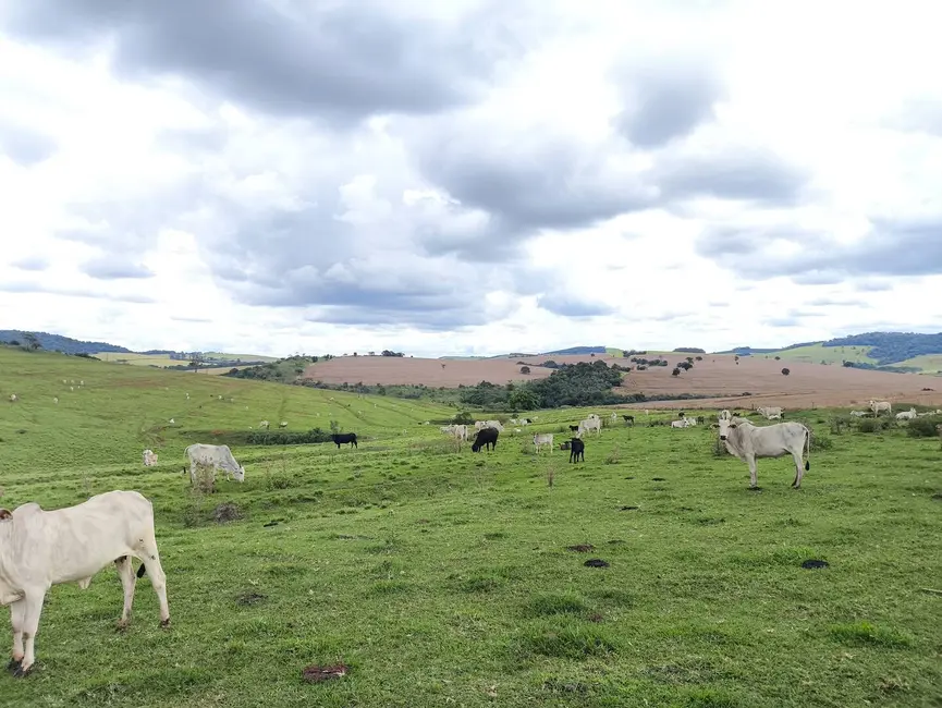 Chácara com 5 quartos à venda, 15460000m2 em Taquarituba - SP - imagem 4 Foto 4 de Chácara com 5 quartos à venda, 15460000m2 em Taquarituba - SP