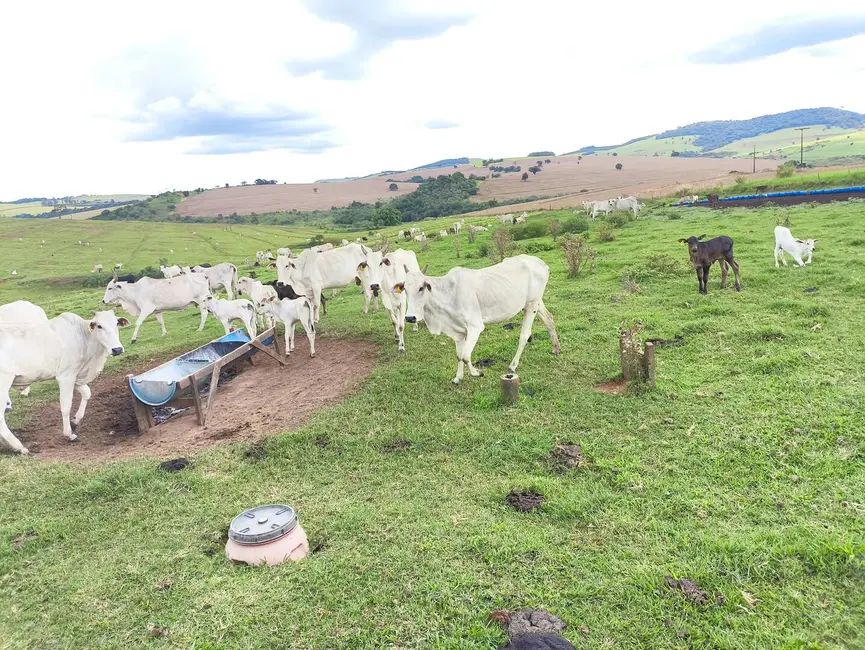 Chácara com 5 quartos à venda, 15460000m2 em Taquarituba - SP - imagem 1 Foto 1 de Chácara com 5 quartos à venda, 15460000m2 em Taquarituba - SP