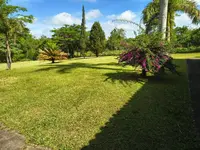 Imagem 8