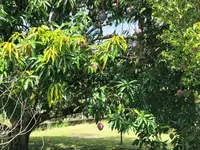 Imagem 24