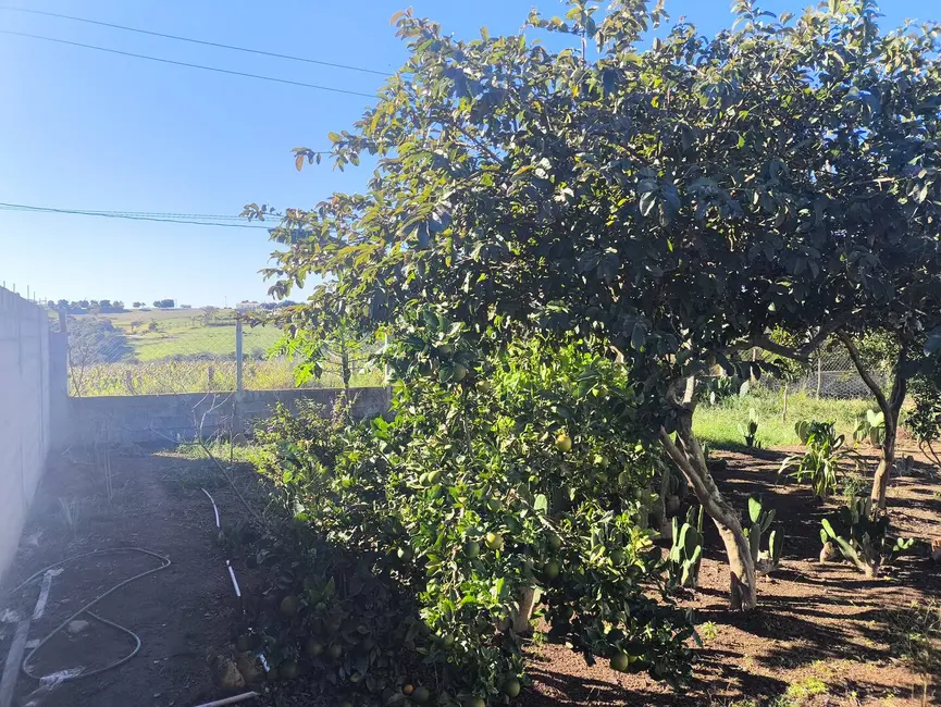 Foto 4 de Casa com 3 quartos para alugar, 500m2 em Pilar Do Sul - SP