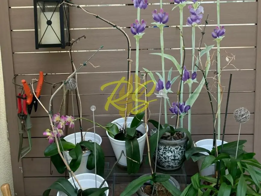 Foto 8 de Casa de Condomínio com 3 quartos à venda, 350m2 em Real Parque, São Paulo - SP