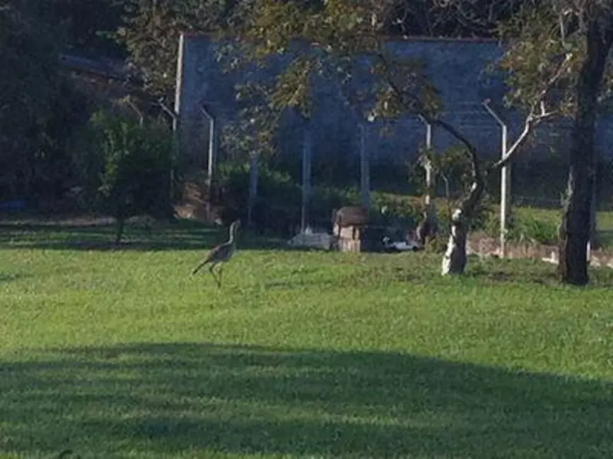 Chácara com 4 quartos à venda, 5140m2 em Aguas De Sao Pedro - SP - imagem 6 Foto 6 de Chácara com 4 quartos à venda, 5140m2 em Aguas De Sao Pedro - SP