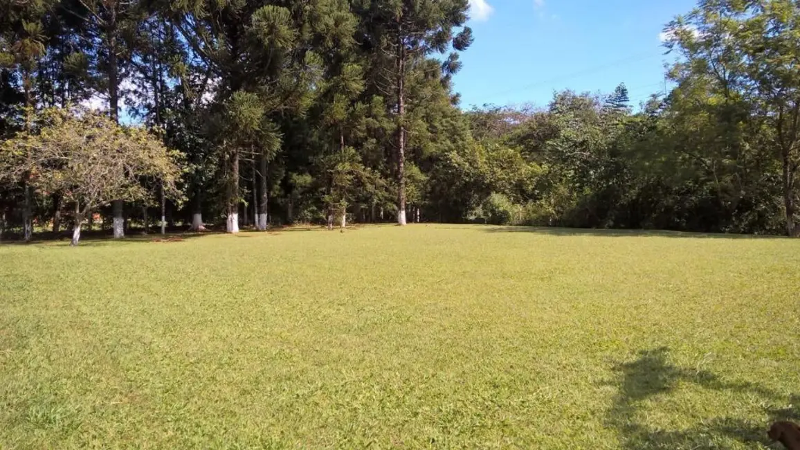 Foto 9 de Chácara com 4 quartos à venda, 5000m2 em Sao Pedro - SP
