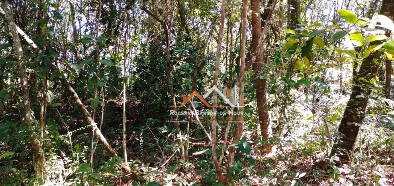Chácara com 2 quartos à venda, 4500m2 em Jardim Bela Vista, Itapetininga - SP - imagem 6 Foto 6 de Chácara com 2 quartos à venda, 4500m2 em Jardim Bela Vista, Itapetininga - SP