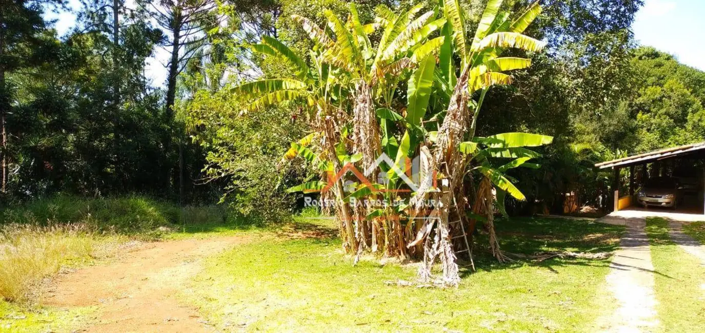 Chácara com 2 quartos à venda, 4500m2 em Jardim Bela Vista, Itapetininga - SP - imagem 5 Foto 5 de Chácara com 2 quartos à venda, 4500m2 em Jardim Bela Vista, Itapetininga - SP