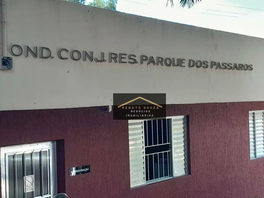 Apartamento com 3 quartos à venda, 65m2 em Conjunto Residencial Ingai, São Paulo - SP - imagem 5 Foto 5 de Apartamento com 3 quartos à venda, 65m2 em Conjunto Residencial Ingai, São Paulo - SP