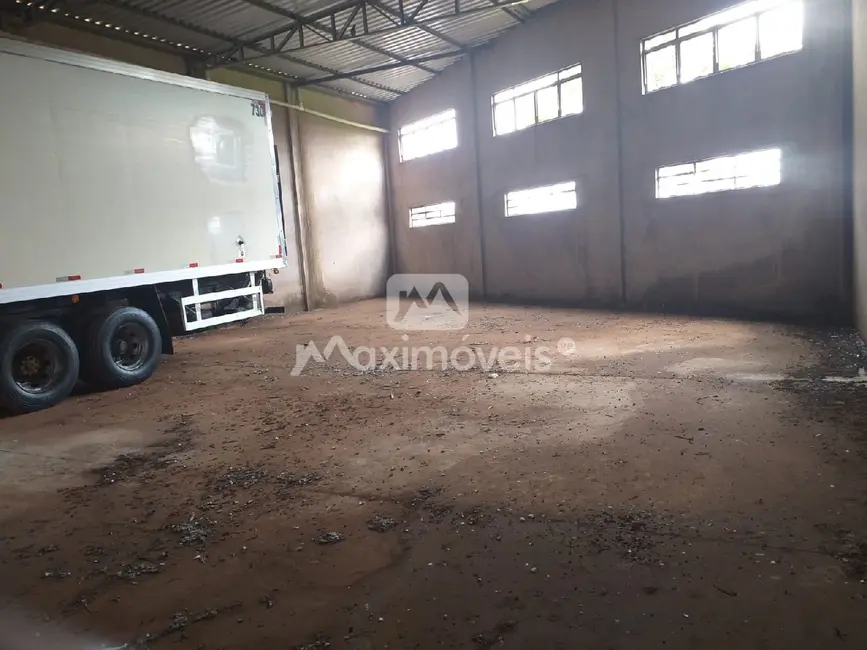 Sala Comercial à venda, 300m2 em Jardim Salgado Filho, Ribeirao Preto - SP - imagem 6 Foto 6 de Sala Comercial à venda, 300m2 em Jardim Salgado Filho, Ribeirao Preto - SP