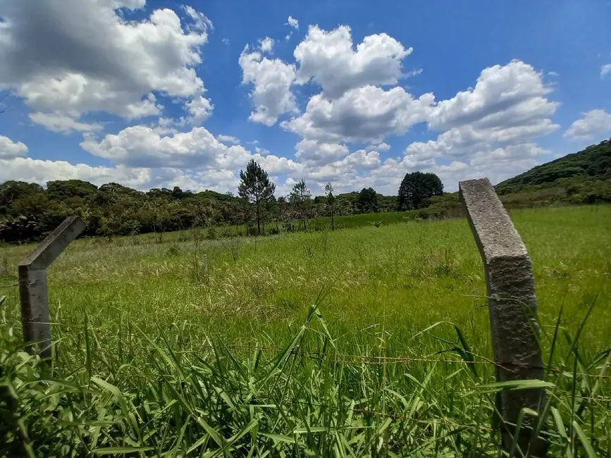 Foto 6 de Casa com 1 quarto à venda, 4150m2 em Lagoa Grande, São Paulo - SP