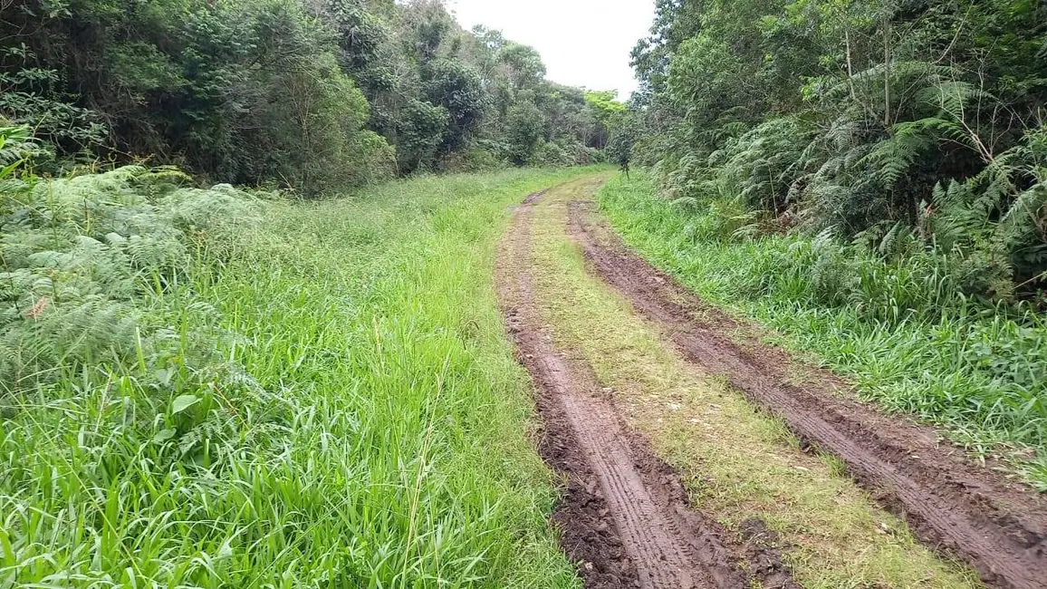 Foto 2 de Terreno / Lote à venda, 248000m2 em Balneário São José, São Paulo - SP