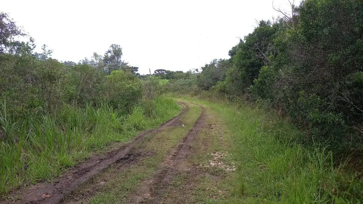 Foto 4 de Terreno / Lote à venda, 248000m2 em Balneário São José, São Paulo - SP