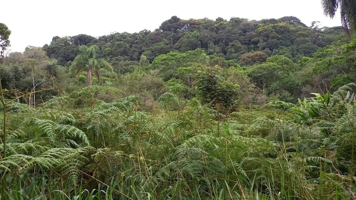 Foto 8 de Terreno / Lote à venda, 248000m2 em Balneário São José, São Paulo - SP