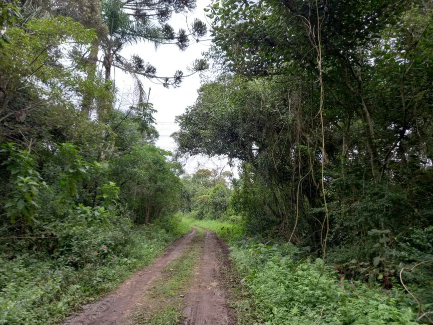 Terreno / Lote à venda, 215000m2 em Balneário São José, São Paulo - SP - imagem 7 Foto 7 de Terreno / Lote à venda, 215000m2 em Balneário São José, São Paulo - SP