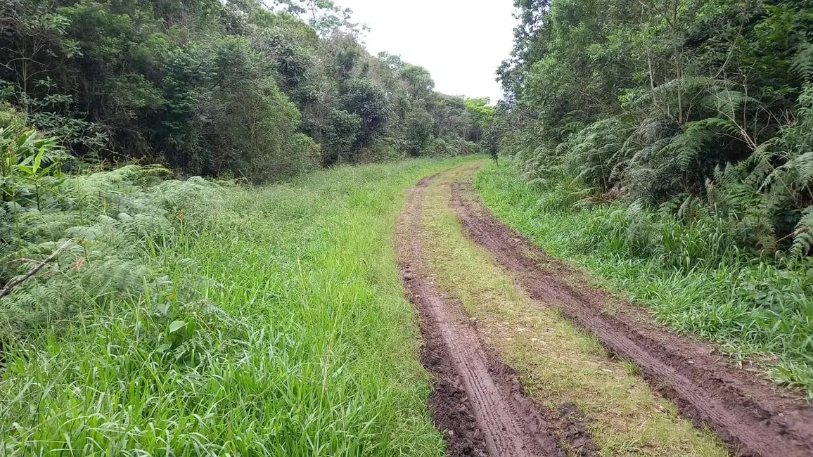 Terreno / Lote à venda, 215000m2 em Balneário São José, São Paulo - SP - imagem 4 Foto 4 de Terreno / Lote à venda, 215000m2 em Balneário São José, São Paulo - SP