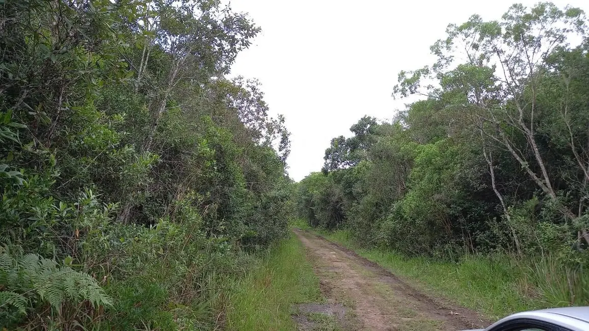 Terreno / Lote à venda, 215000m2 em Balneário São José, São Paulo - SP - imagem 9 Foto 9 de Terreno / Lote à venda, 215000m2 em Balneário São José, São Paulo - SP