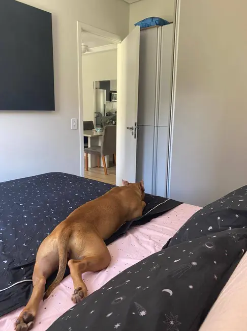 Apartamento com 1 quarto à venda, 44m2 em Vila Andrade, São Paulo - SP - imagem 5 Foto 5 de Apartamento com 1 quarto à venda, 44m2 em Vila Andrade, São Paulo - SP