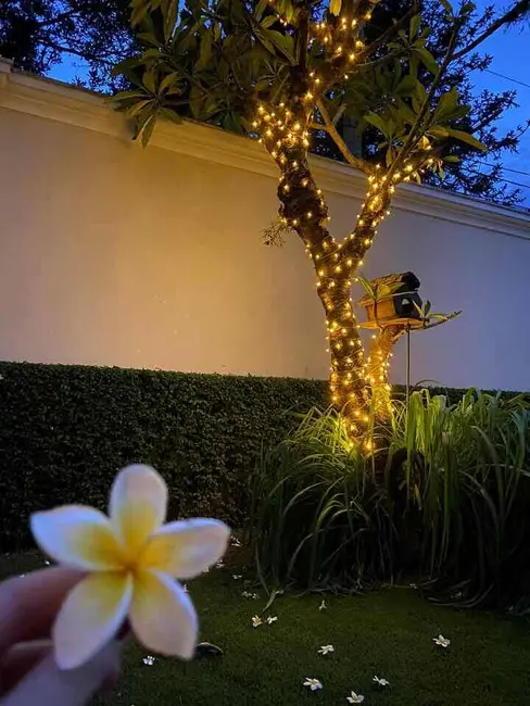 Casa com 7 quartos à venda em Vila Represa, São Paulo - SP - imagem 4 Foto 4 de Casa com 7 quartos à venda em Vila Represa, São Paulo - SP