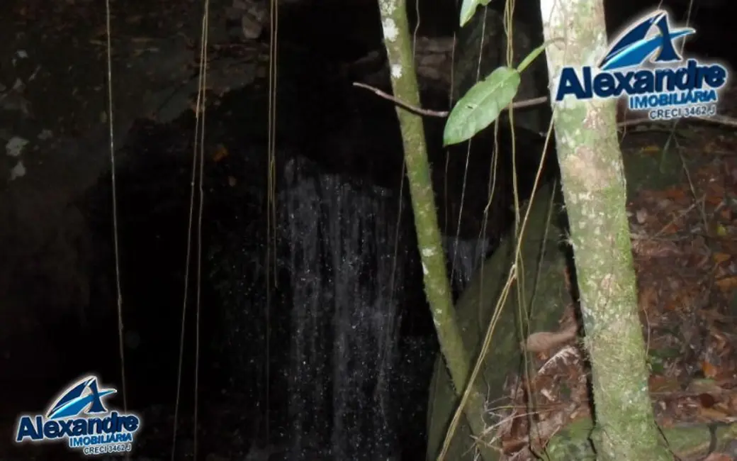 Chácara à venda, 218689m2 em Centro, Massaranduba - SC - imagem 7 Foto 7 de Chácara à venda, 218689m2 em Centro, Massaranduba - SC