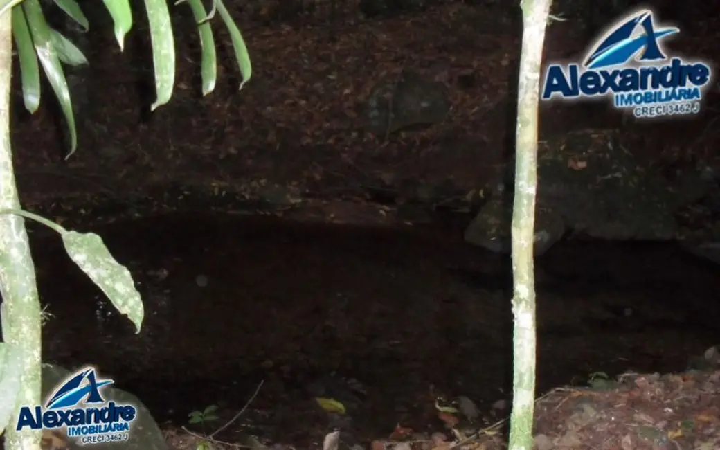 Chácara à venda, 218689m2 em Centro, Massaranduba - SC - imagem 8 Foto 8 de Chácara à venda, 218689m2 em Centro, Massaranduba - SC