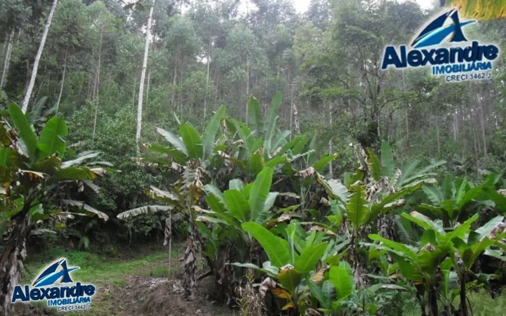 Chácara à venda, 218689m2 em Centro, Massaranduba - SC - imagem 6 Foto 6 de Chácara à venda, 218689m2 em Centro, Massaranduba - SC