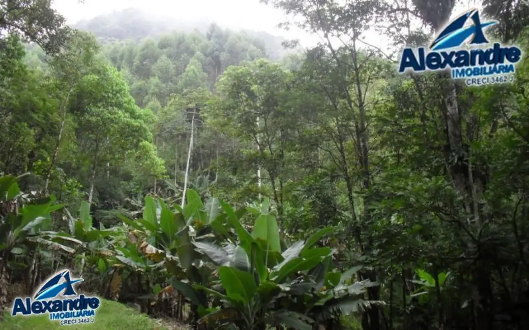 Chácara à venda, 218689m2 em Centro, Massaranduba - SC - imagem 5 Foto 5 de Chácara à venda, 218689m2 em Centro, Massaranduba - SC
