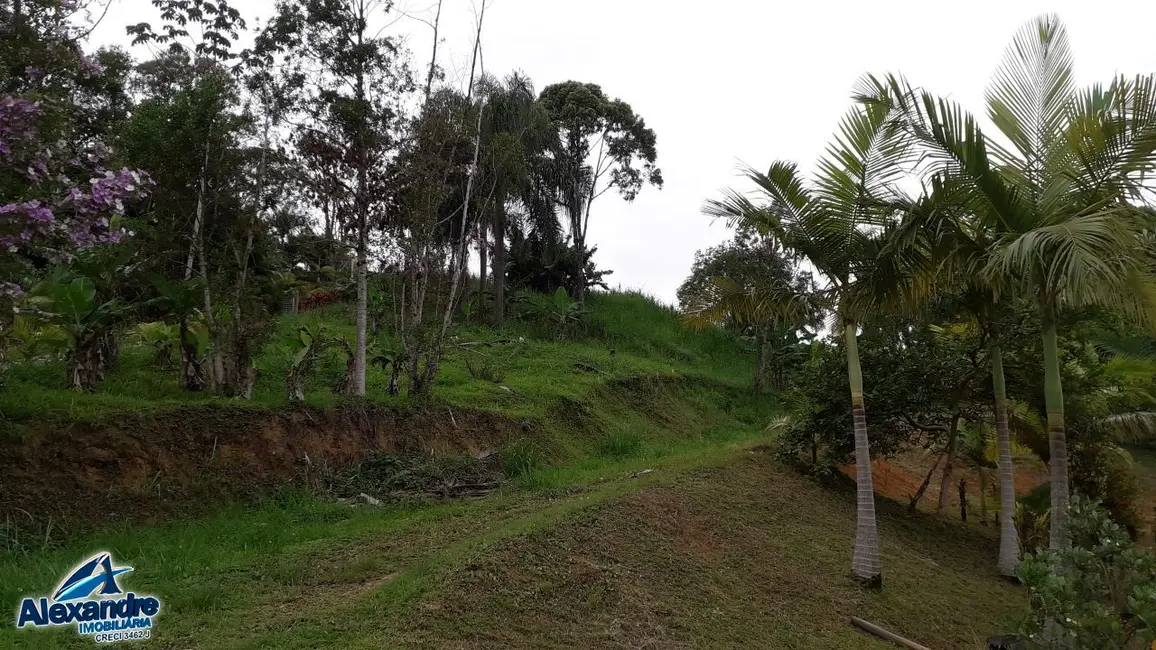 Chácara com 3 quartos à venda, 15000m2 em Três Rios do Norte, Jaragua Do Sul - SC - imagem 8 Foto 8 de Chácara com 3 quartos à venda, 15000m2 em Três Rios do Norte, Jaragua Do Sul - SC