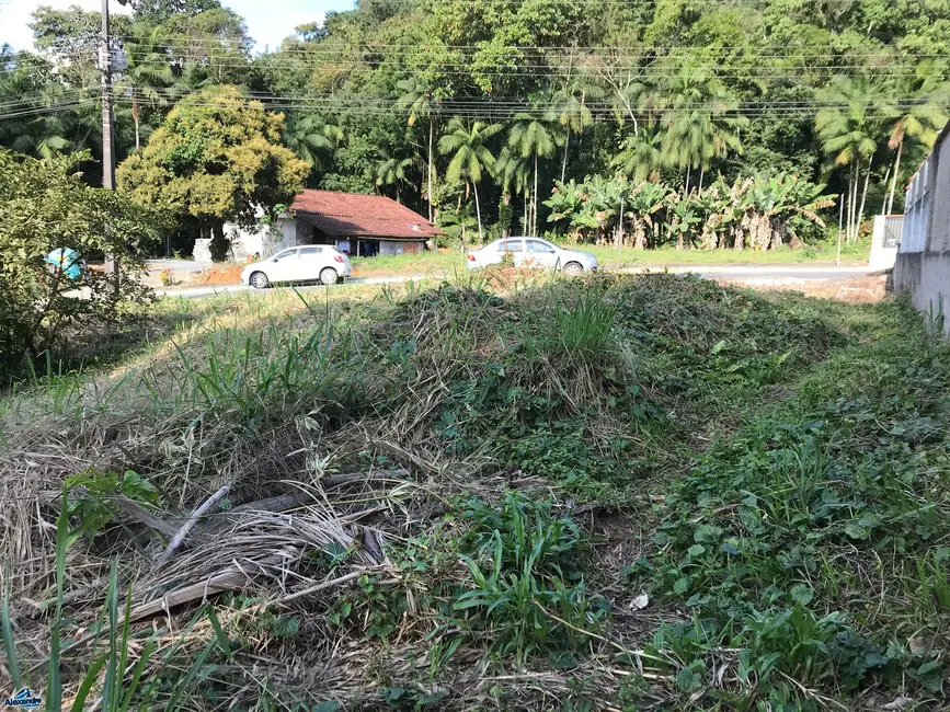 Foto 4 de Terreno / Lote à venda, 914m2 em Ilha da Figueira, Jaragua Do Sul - SC