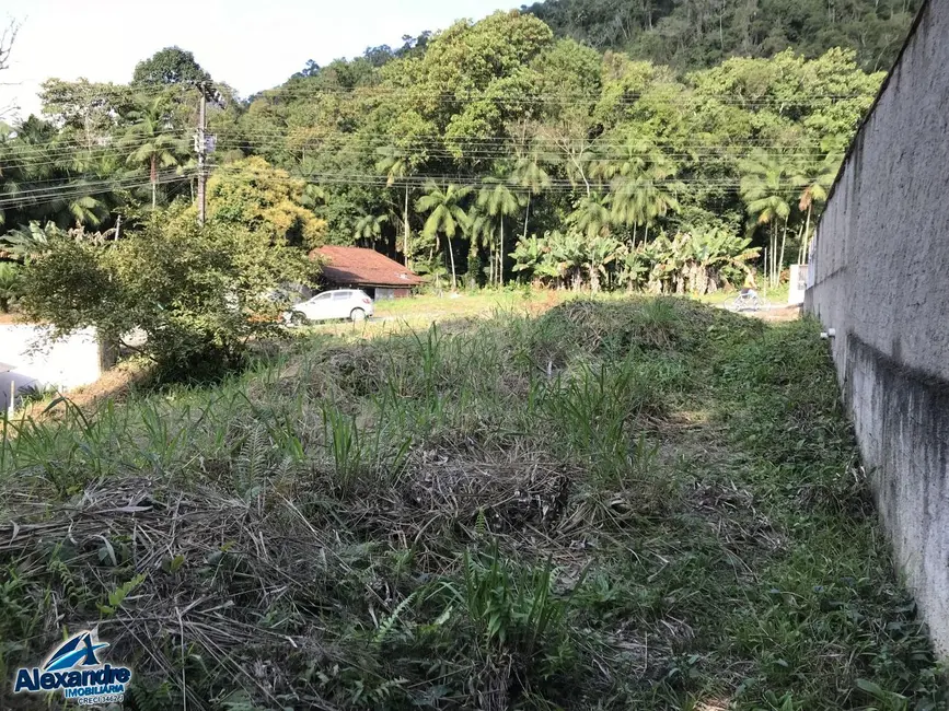 Foto 3 de Terreno / Lote à venda, 914m2 em Ilha da Figueira, Jaragua Do Sul - SC