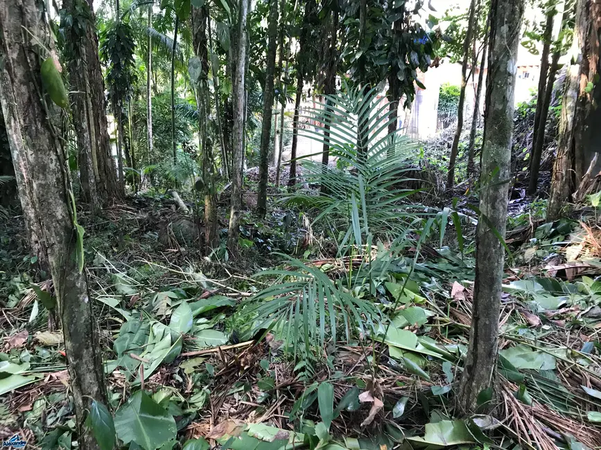 Foto 6 de Terreno / Lote à venda, 914m2 em Ilha da Figueira, Jaragua Do Sul - SC