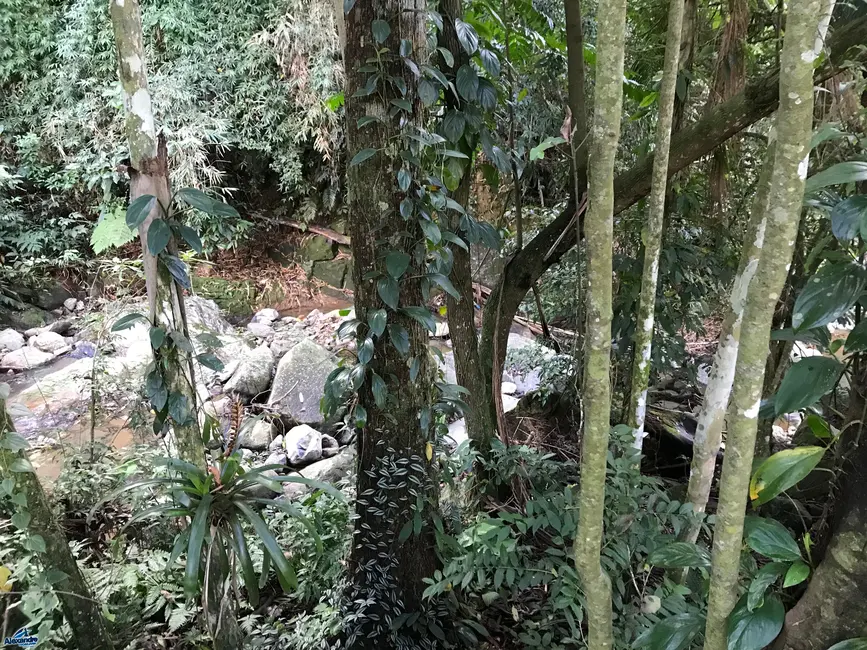 Foto 9 de Terreno / Lote à venda, 914m2 em Ilha da Figueira, Jaragua Do Sul - SC