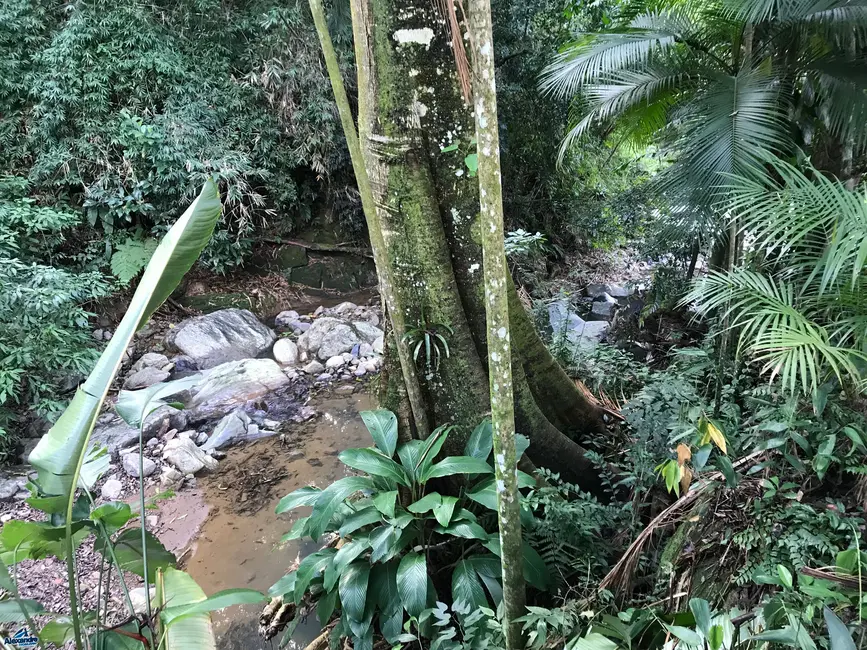 Foto 8 de Terreno / Lote à venda, 914m2 em Ilha da Figueira, Jaragua Do Sul - SC