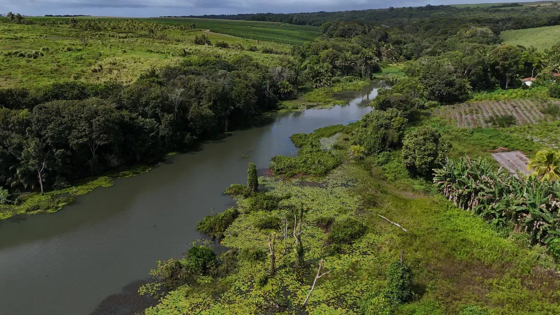 Chácara com 2 quartos à venda, 3500m2 em Conde - PB - imagem 6 Foto 6 de Chácara com 2 quartos à venda, 3500m2 em Conde - PB
