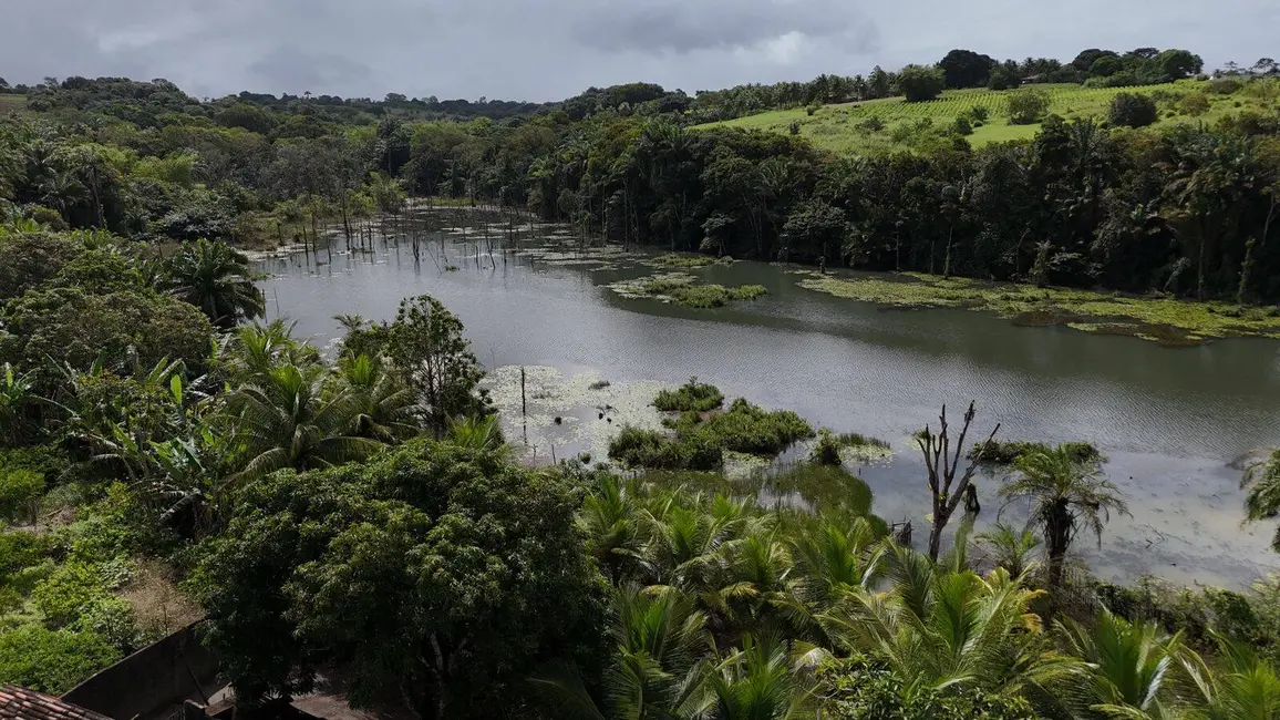 Chácara com 2 quartos à venda, 3500m2 em Conde - PB - imagem 7 Foto 7 de Chácara com 2 quartos à venda, 3500m2 em Conde - PB