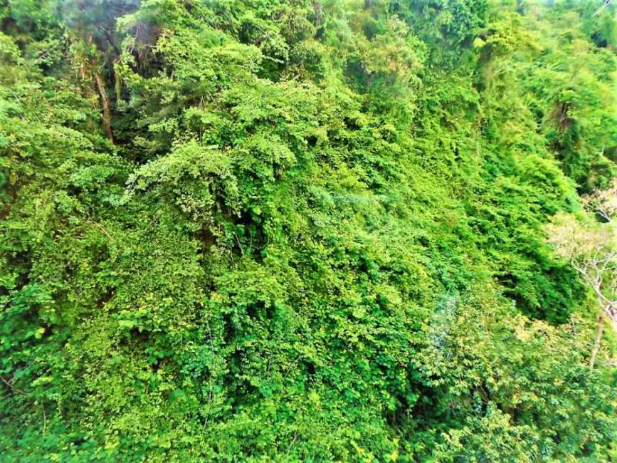 Foto 3 de Apartamento com 2 quartos à venda, 101m2 em Rio De Janeiro - RJ