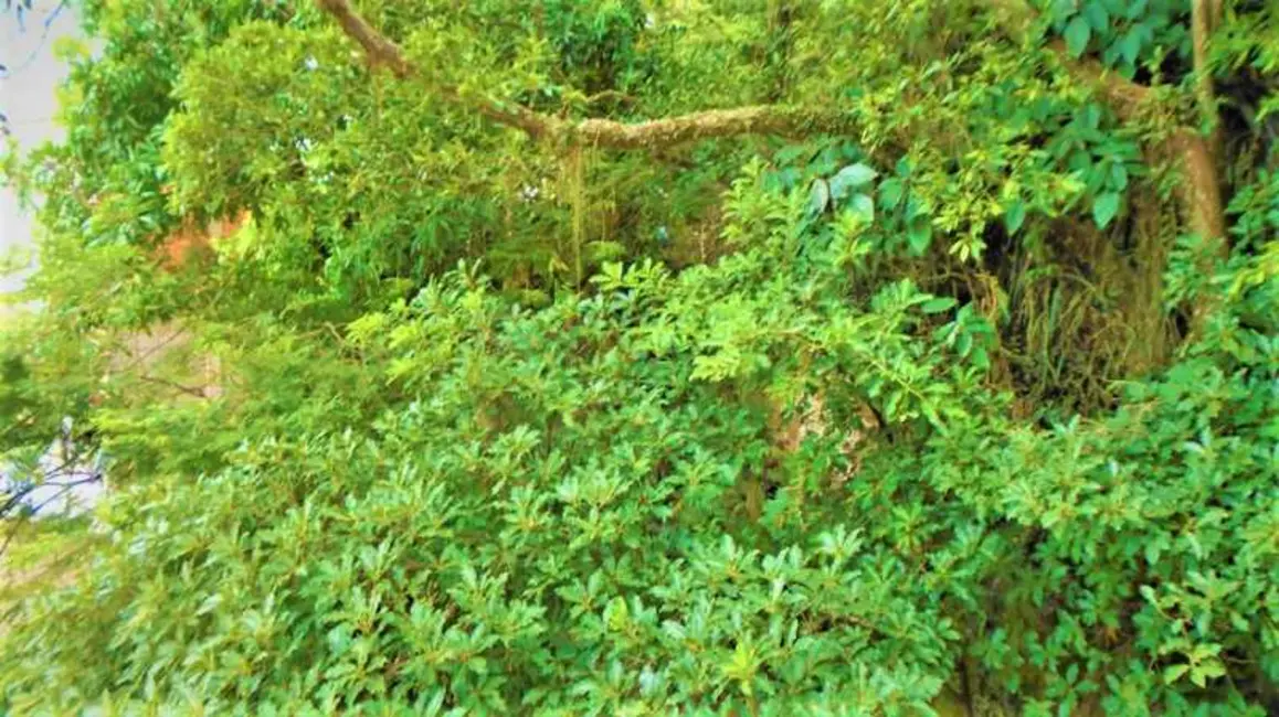 Foto 2 de Apartamento com 3 quartos à venda, 235m2 em Rio De Janeiro - RJ