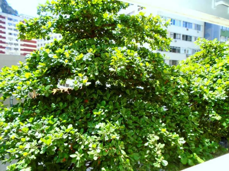 Foto 9 de Apartamento com 2 quartos à venda, 74m2 em Rio De Janeiro - RJ