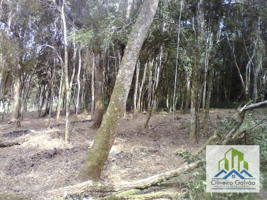 Foto 3 de Terreno / Lote à venda, 1147m2 em Ibiuna - SP