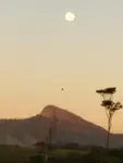 Imagem 14
