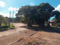 Imagem 13