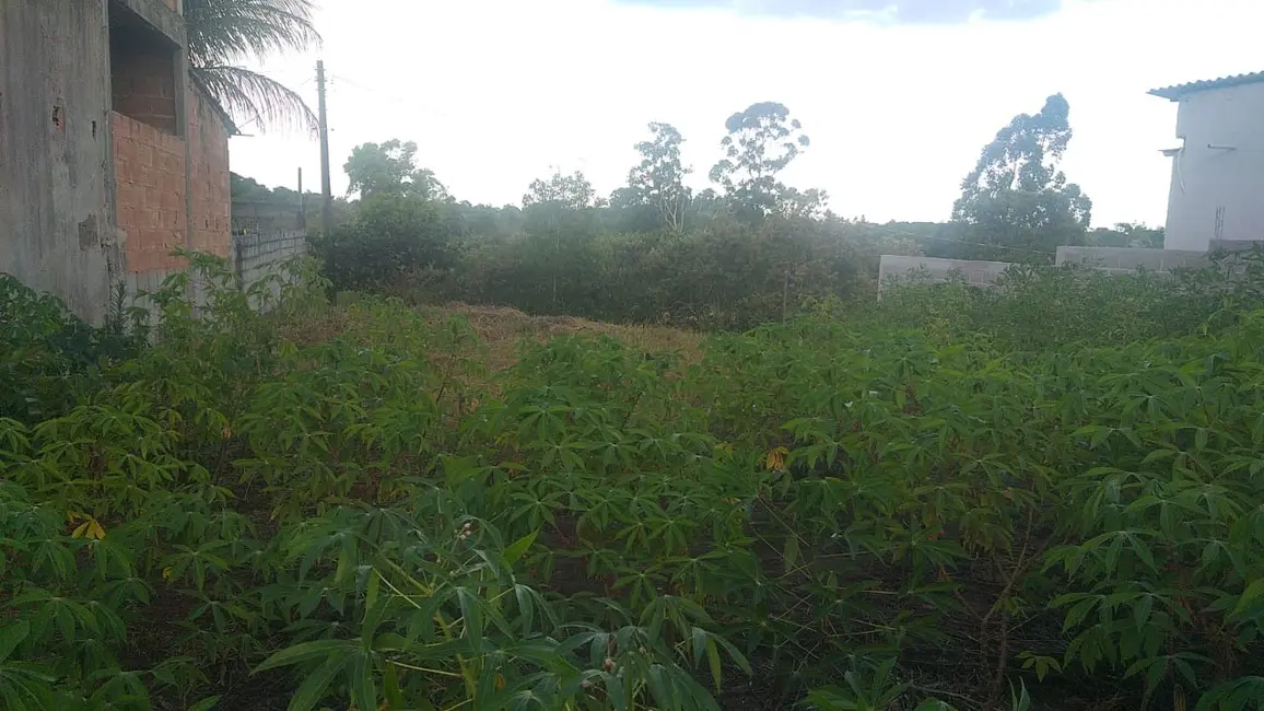 Foto 4 de Terreno / Lote à venda, 300m2 em Santa Cruz, Aracruz - ES