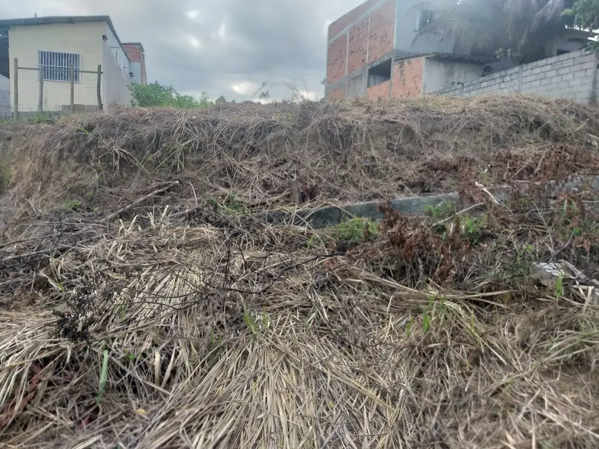 Foto 6 de Terreno / Lote à venda, 300m2 em Santa Cruz, Aracruz - ES