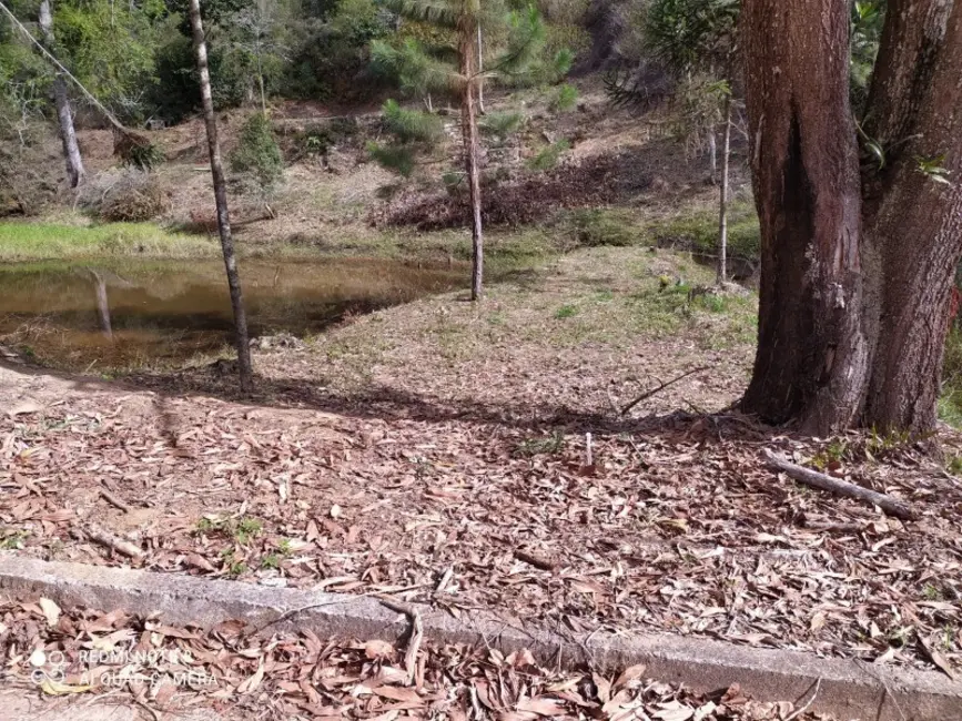 Foto 8 de Terreno / Lote à venda, 20000m2 em Santa Teresa - ES