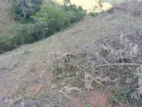 Imagem 4