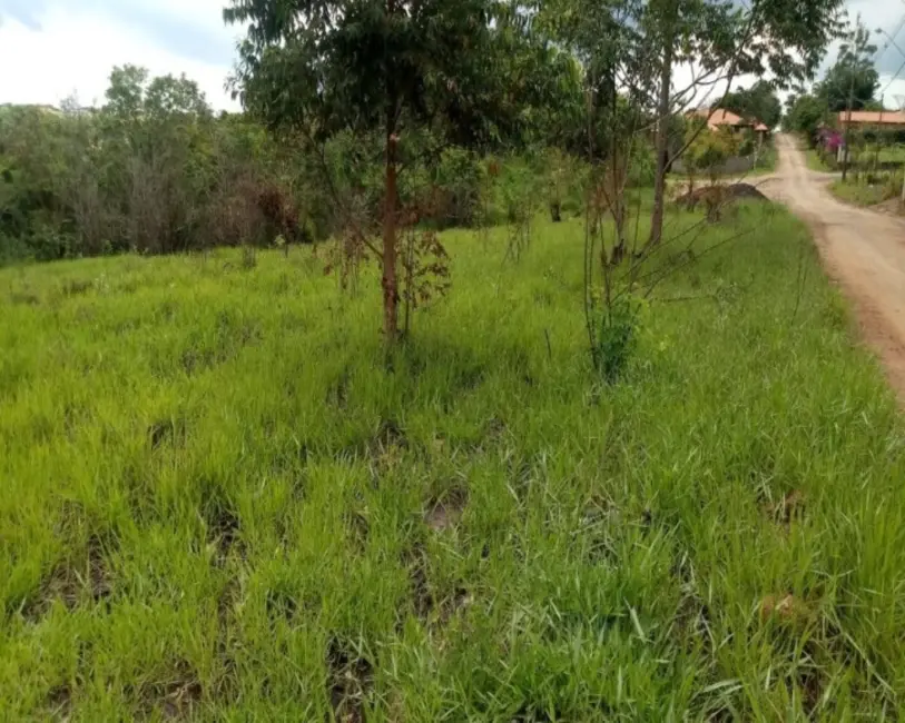 Foto 6 de Terreno / Lote à venda em Pardinho - SP