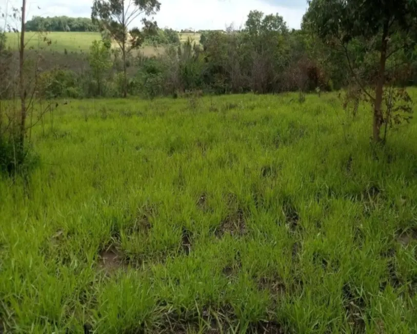 Foto 5 de Terreno / Lote à venda em Pardinho - SP