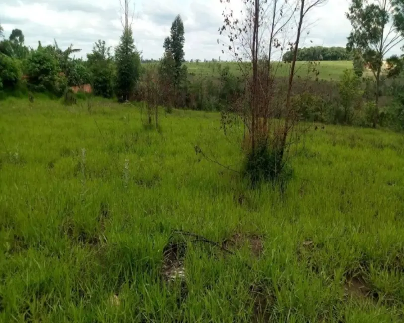 Foto 4 de Terreno / Lote à venda em Pardinho - SP